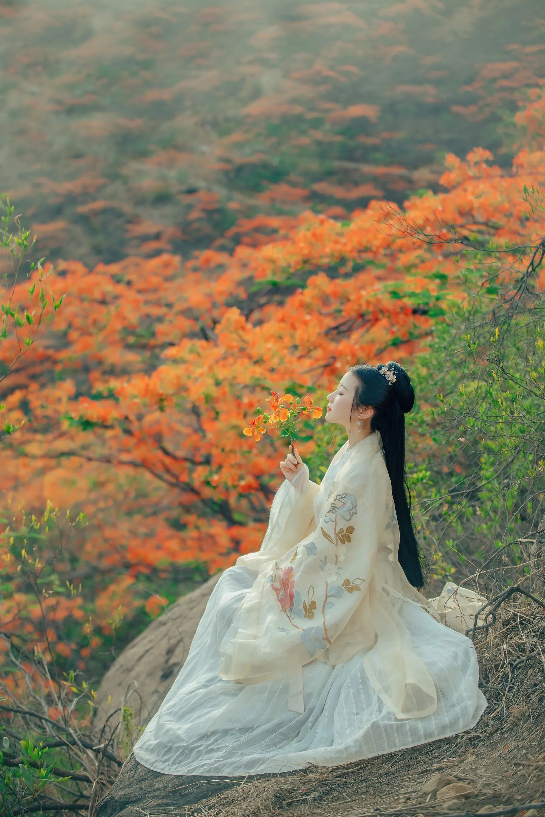 [艺图语] 2022.05.28 凤凰花开 粥米饭 [26P]插图